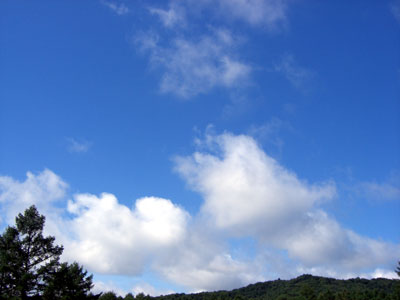 小さなミスは、空でも見上げてその場は忘れてしまうことが大事!ひきずればひきずるほど、選手に影響が出るものです。